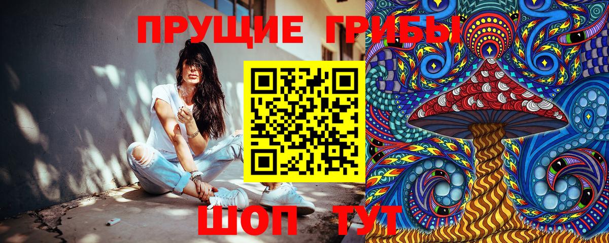 Галлюциногенные грибы прущие грибы Курчатов